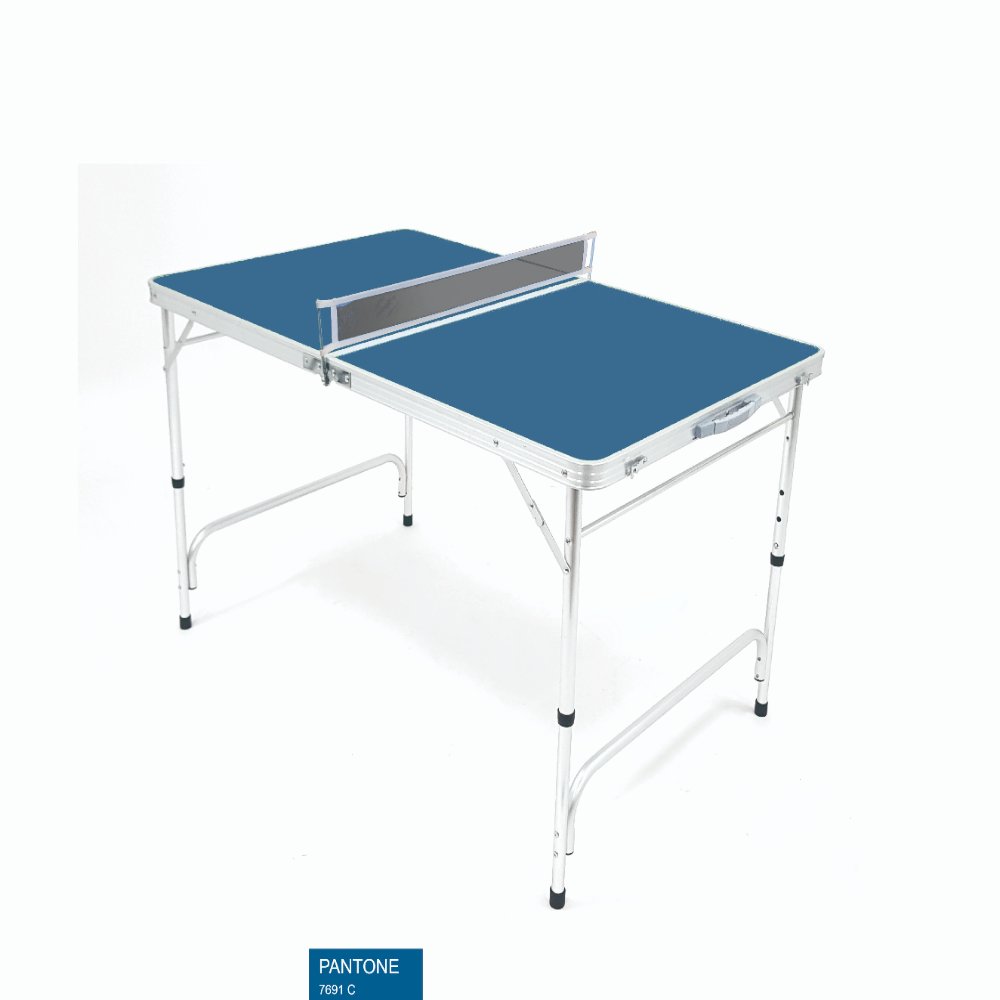 Pingpong Table G84822-1